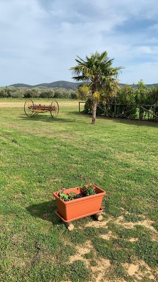 Agriturismo Mimosa Konuk evi Rispescia Dış mekan fotoğraf